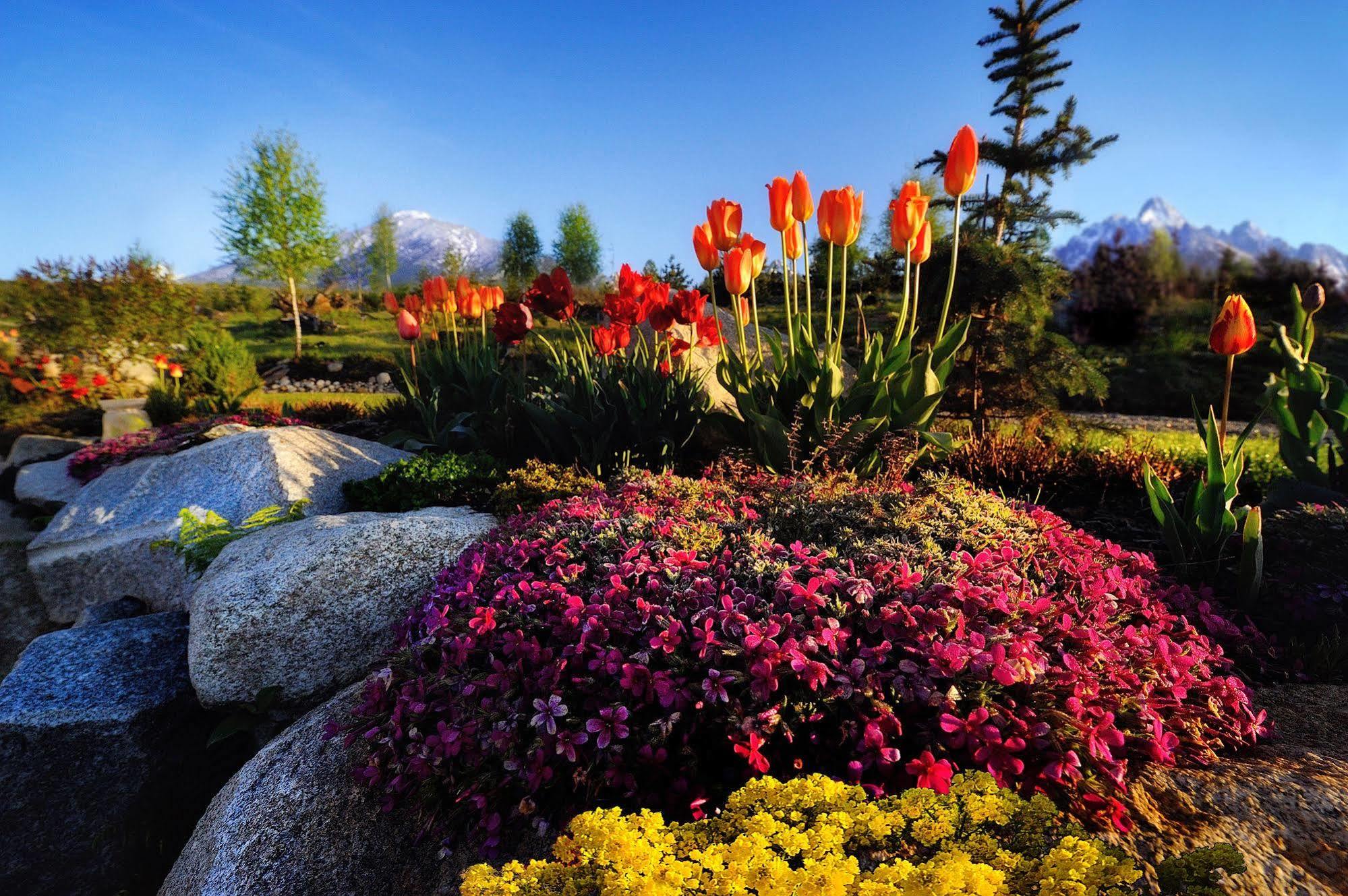 Panoramic Mountain Residence Vysoké Tatry Dış mekan fotoğraf